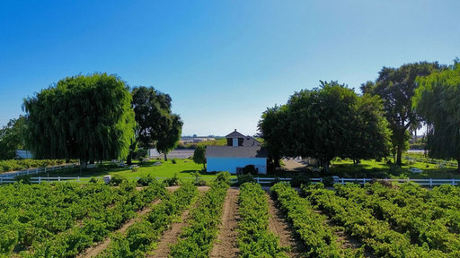 Peirano-Home-3.jpg