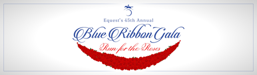 2026 Blue Ribbon Gala Banner.png